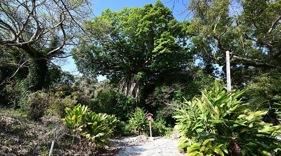 ⛩️ 오쿠 신사(구니가미 오쿠진자) 이미지 5